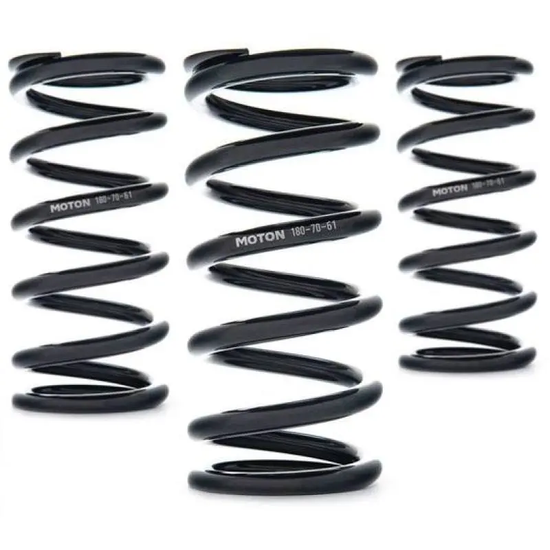Ast Linear Race Coil Springs – 120Mm Length, 440 N/Mm Rate, 61Mm Id (Set Of Two) 1
