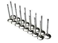 Brian Crower 35Mm Intake Valves For Mitsubishi 4B11T (Evo X) 1